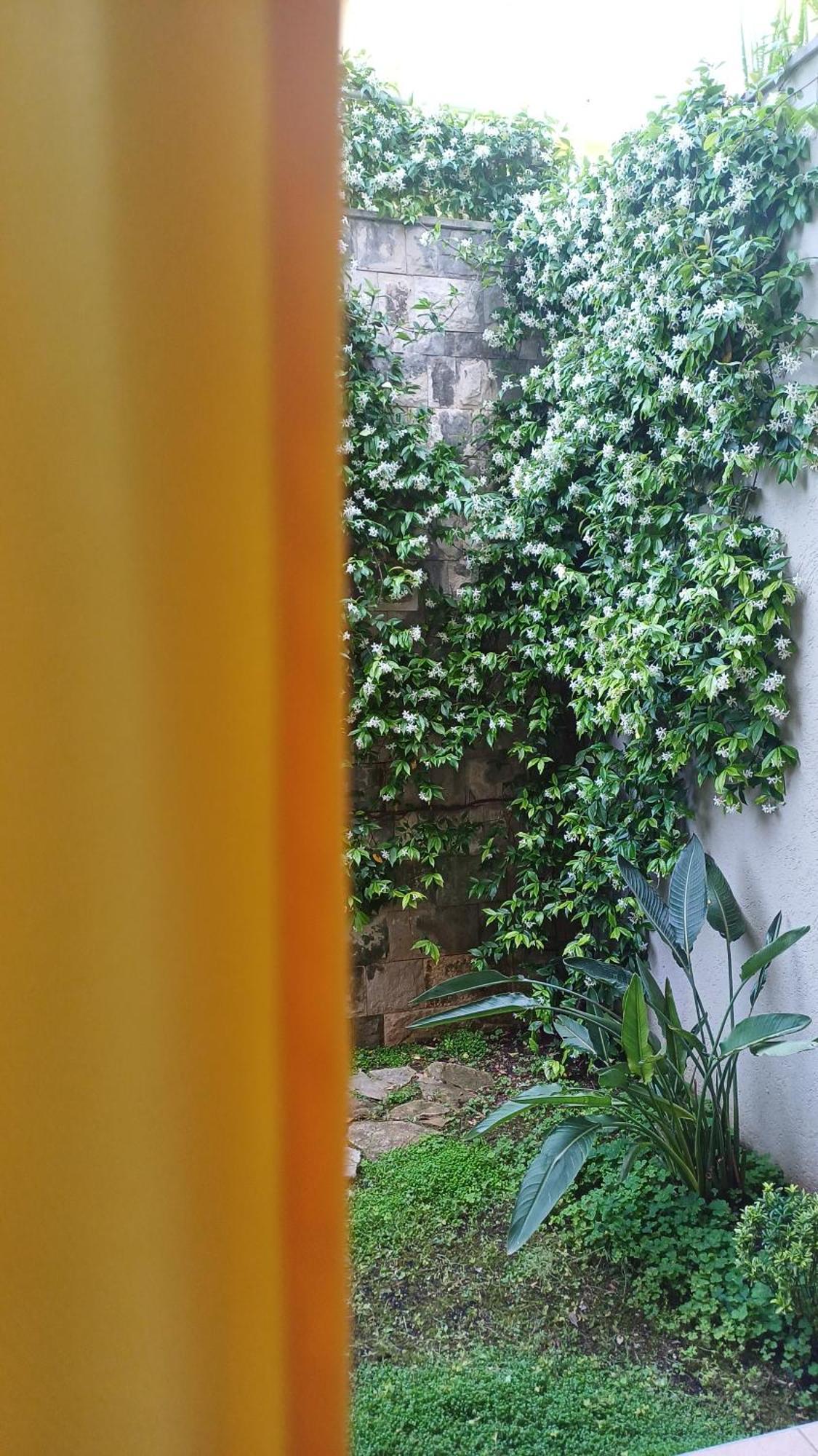 Apartman Stijepcic Herceg Novi Exterior photo