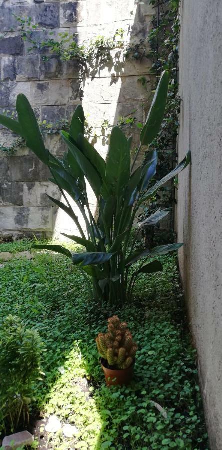 Apartman Stijepcic Herceg Novi Exterior photo